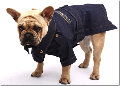 denim dress for dogs