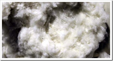 raw cotton zimbabwe