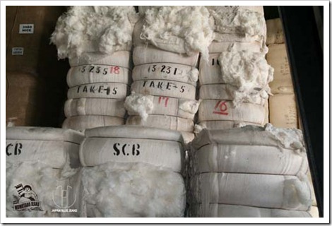 zimbabwe cotton