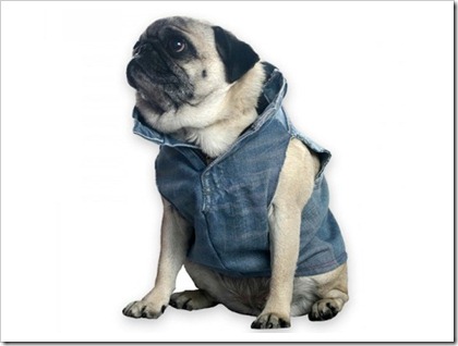 Recycled Denim Dog vest