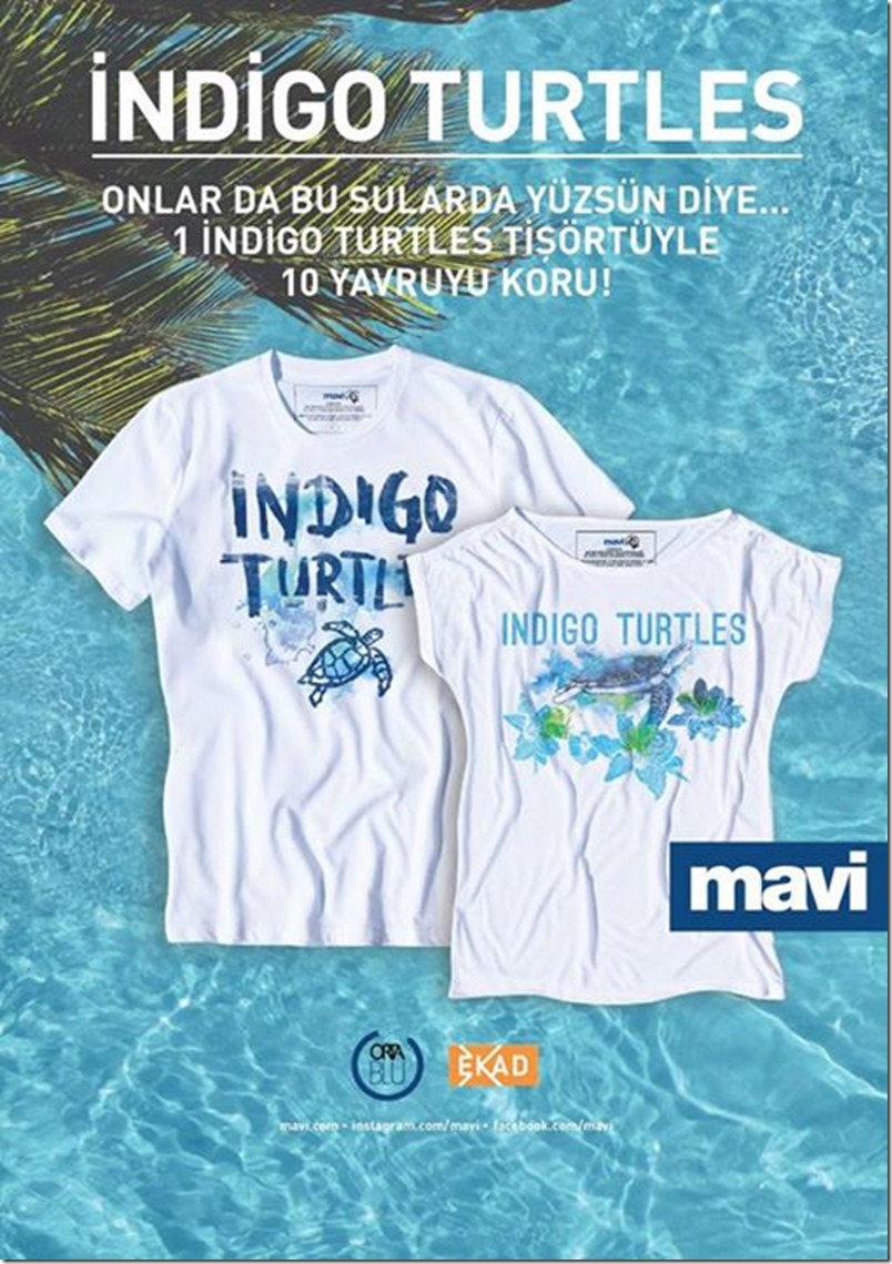 Indigo Turtles- Helping Baby Sea Turtles with their First Steps denimsandjeans.com