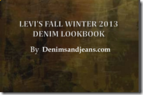 Levis Fall Winter 2013 /14 Lookbook