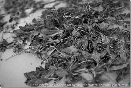 Dried indigo leaves