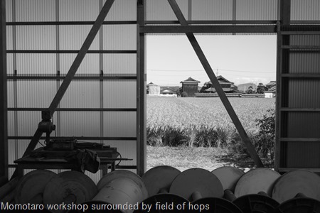 Momotaro workshop surrounded by field of hops