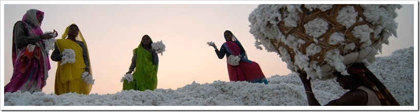 Top Ten Companies Under Sustainable Cotton Ranking 2017  | Denimsandjeans.com