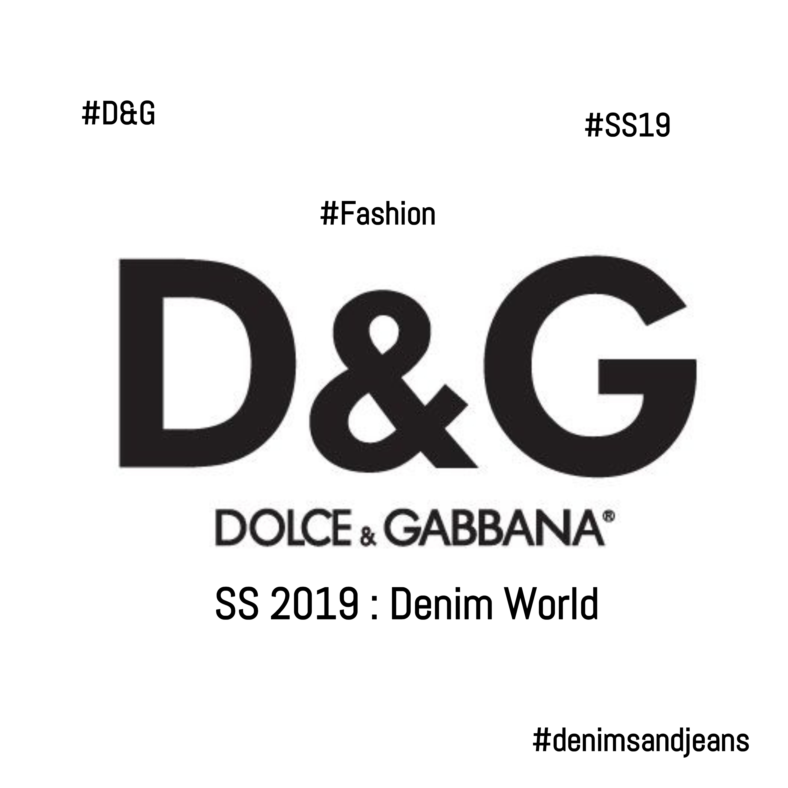 dolce and gabbana financial report