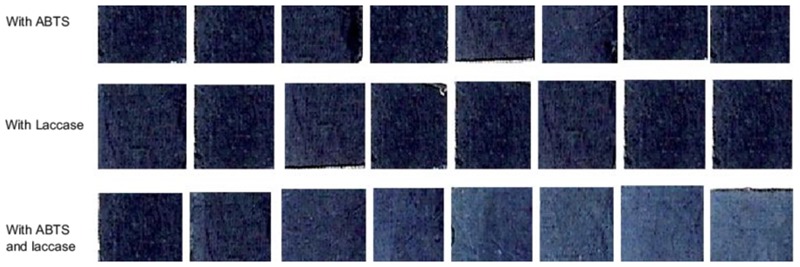 Denim Story By Tom Hawthorn | Denimsandjeans.com