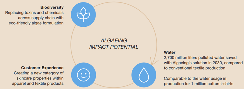 Algaeing Impact