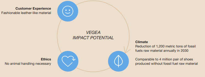 Vegea Process