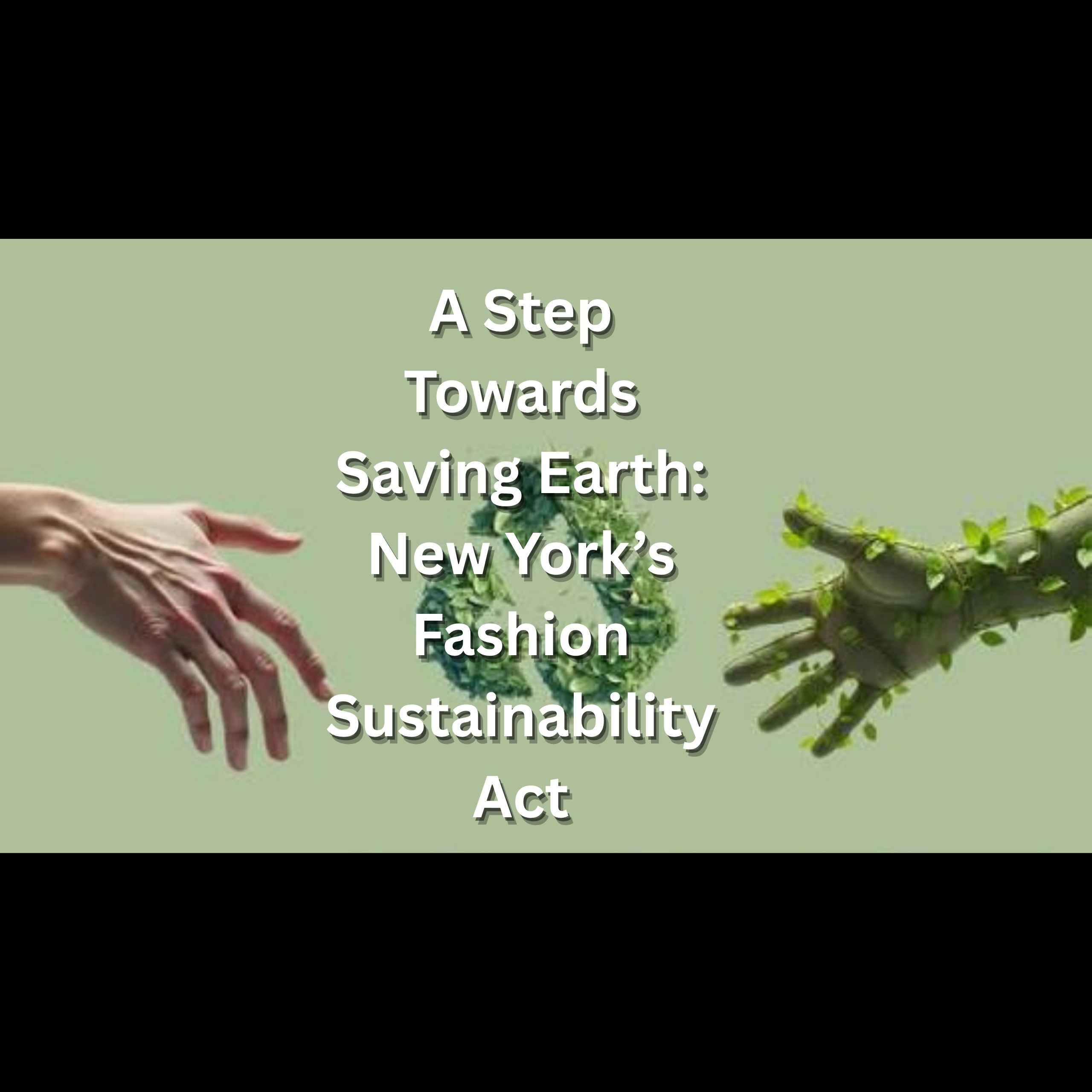 A Step Towards Saving Earth: New York’s Fashion Sustainability Act