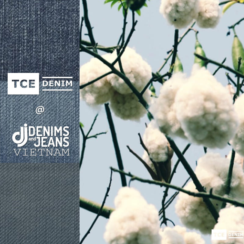 TCE @ Denimsandjeans Vietnam Event 2023
