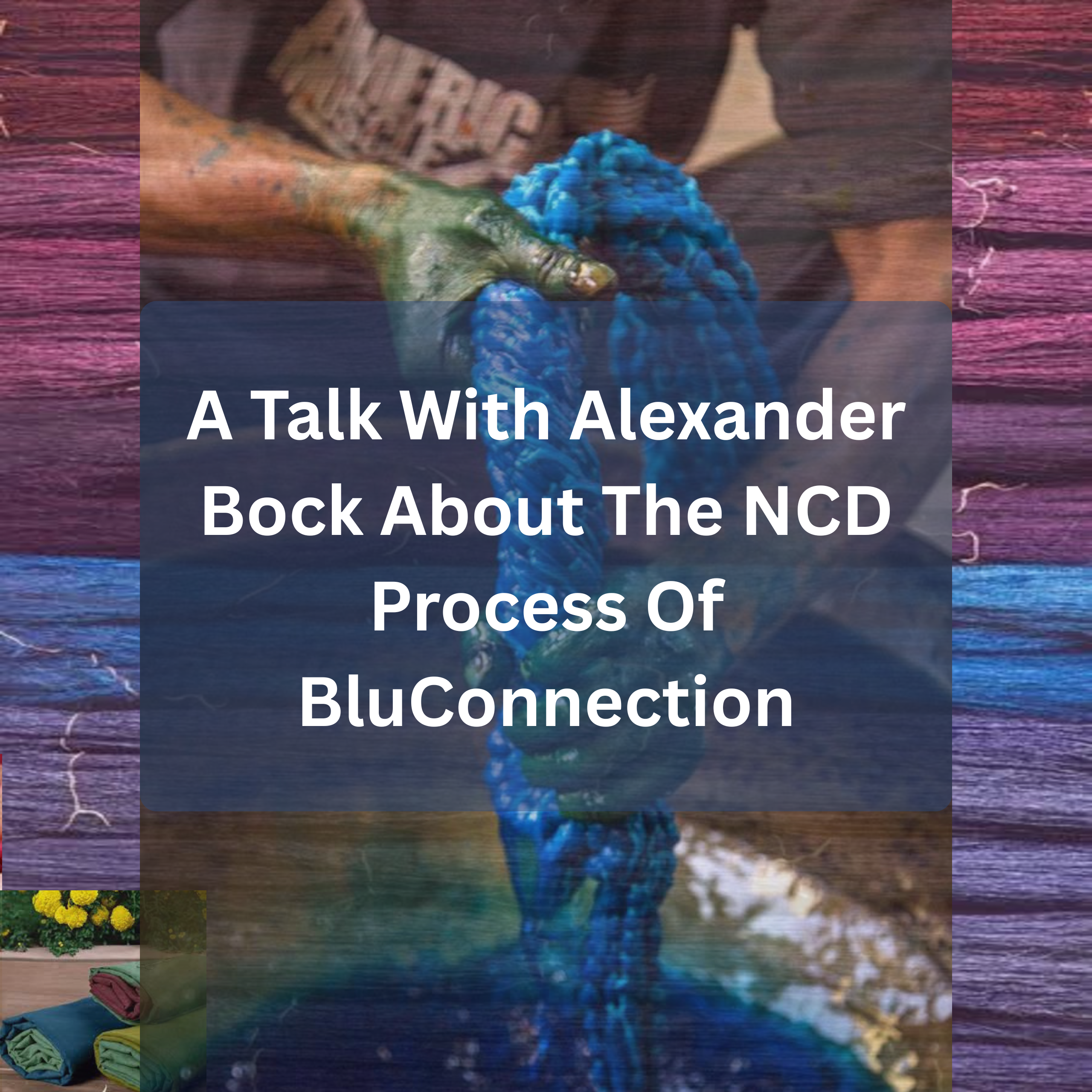A Talk With Alexander Bock About The NCD Process Of BluConnection